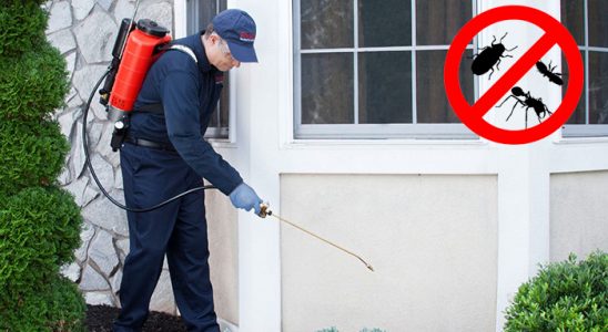 Bekilli Gümüşkurt İlaçlama böcek ilaçlama ve haşere kontrolü — ilaclama-tr.com